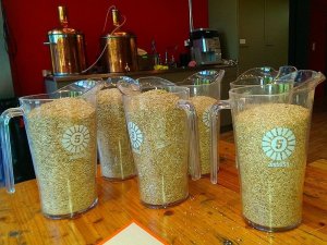 Dinkel-Rauchbier Brausession
