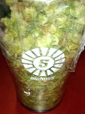 Amboss - Damm für dich - Dampfbier